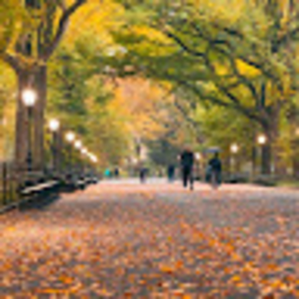 Meet your Posher, Jenny